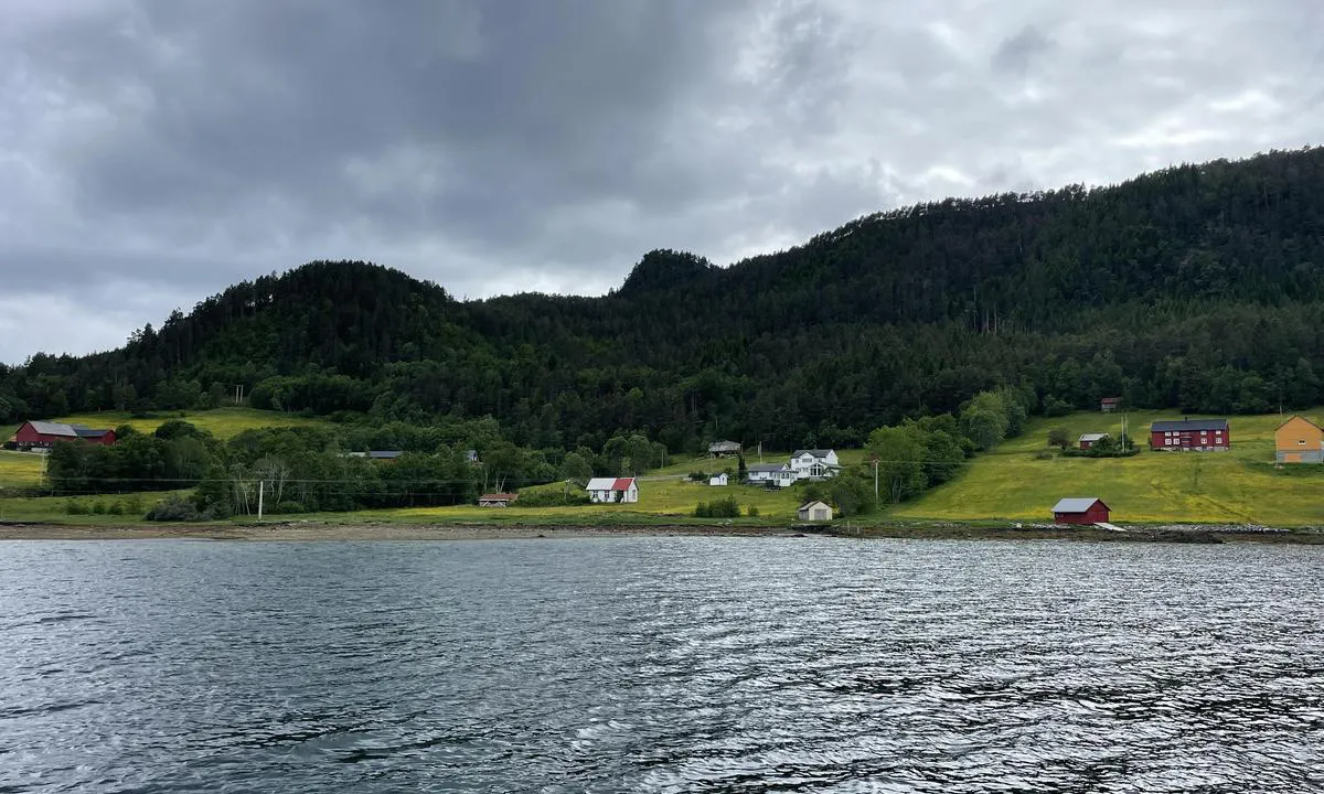 Halsbukta
