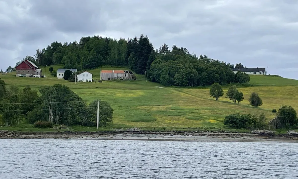 Halsbukta