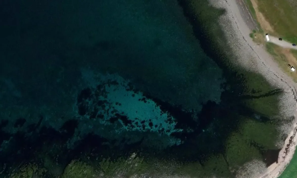 Satelite image of Hamningberg Vest