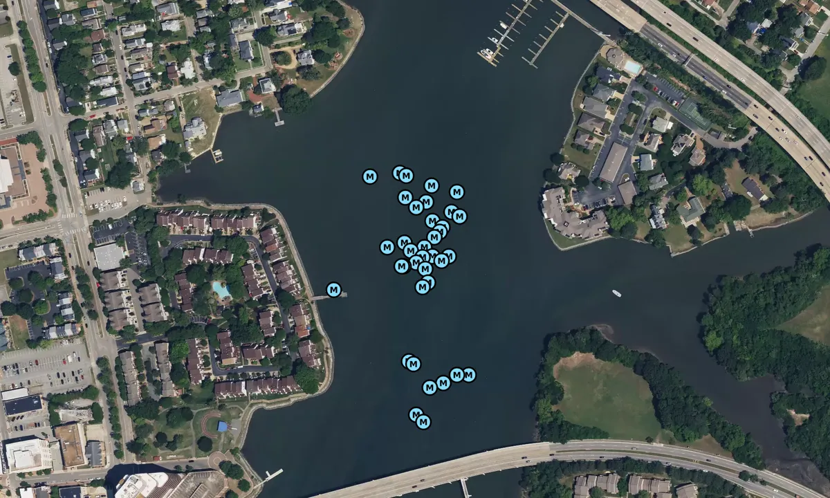 Satelite image of Hampton River - 2
