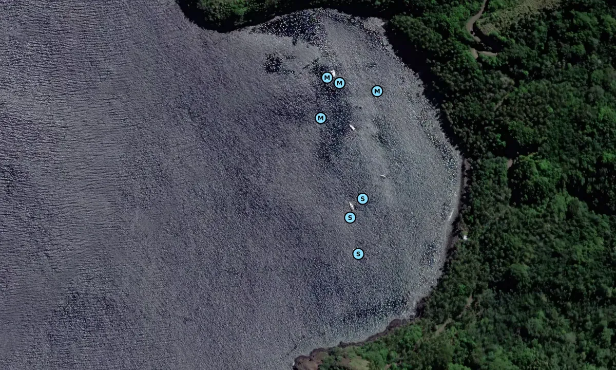 Satelite image of Hanatefau Bay