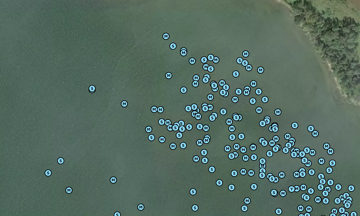 Satelite image of Handys Point - 1