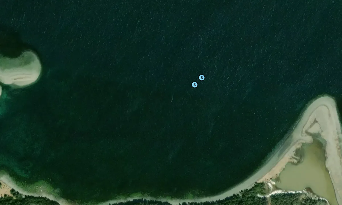 Satelite image of Harbor Island Cove