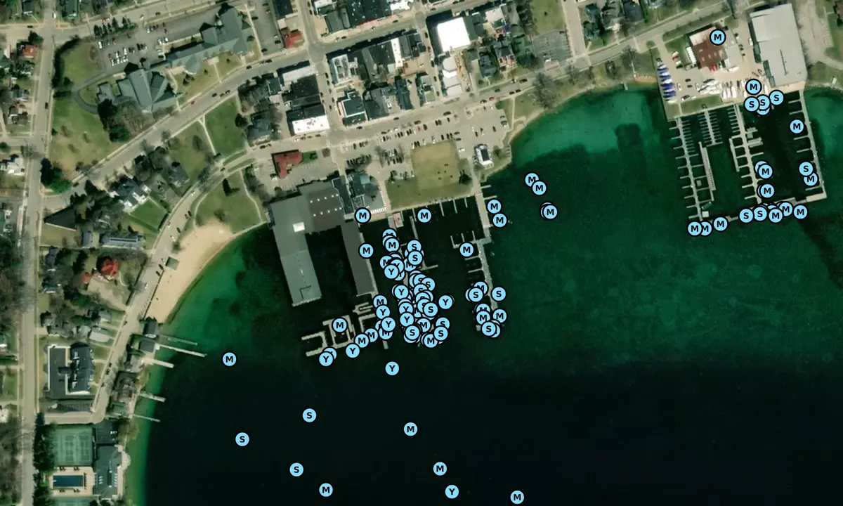 Satelite image of Harbor Springs Municipal Marina