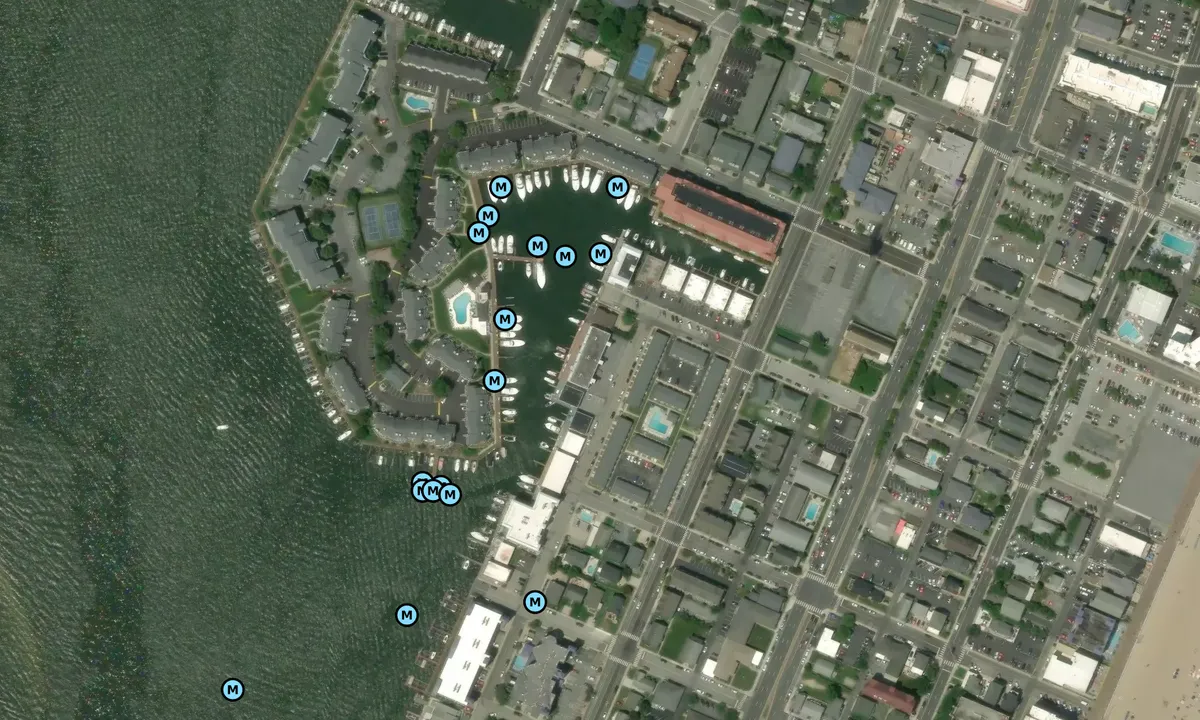 Satelite image of Harbour Island Marina