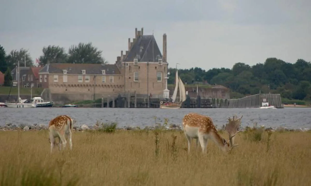 {"base": "nl", "no": "Veere sett fra \u00f8ya Haringvreter.<br />(Foto fra nos.nl)", "se": "Veere sedd fr\u00e5n \u00f6n Haringvreter.<br />(Foto fr\u00e5n nos.nl)", "en": "Veere seen from Haringvreter island.<br><i>(Photo from nos.nl)</i>", "da": "Veere set fra \u00f8en Haringvreter.<br />(Foto fra nos.nl)", "fr": "Vue de Veere depuis l'\u00eele Haringvreter. <br><em>(Photo de nos.nl)</em>", "de": "Veere vom Insel Haringvreter aus gesehen.<br>(Foto von nos.nl)", "es": "Veere vista desde la isla Haringvreter.<br />(Foto de nos.nl)", "it": "Veere vista dall'isola di Haringvreter. <br> (Foto di nos.nl)", "pt": "Veere vista da ilha Haringvreter.<br>(Foto de nos.nl)", "nl": "Veere gezien vanuit eiland Haringvreter.\r\n(Foto van nos.nl)", "pl": "Veere widziane z wyspy Haringvreter.<br />(Zdj\u0119cie z nos.nl)", "uk": "\u0412\u0435\u0440\u0435, \u043f\u043e\u0431\u0430\u0447\u0435\u043d\u0435 \u0437 \u043e\u0441\u0442\u0440\u043e\u0432\u0430 \u0413\u0430\u0440\u0456\u043d\u0433\u0432\u0440\u0435\u0442\u0435\u0440. (\u0424\u043e\u0442\u043e \u0437 nos.nl)", "ro": "Veere v\u0103zut dinspre insula Haringvreter. <br />(Fotografie de la nos.nl)", "tr": "Veere, Haringvreter Adas\u0131'ndan g\u00f6r\u00fcld\u00fc. (nos.nl'den foto\u011fraf)", "el": "\u0397 Veere \u03cc\u03c0\u03c9\u03c2 \u03c6\u03b1\u03af\u03bd\u03b5\u03c4\u03b1\u03b9 \u03b1\u03c0\u03cc \u03c4\u03bf \u03bd\u03b7\u03c3\u03af Haringvreter. <br>(\u03a6\u03c9\u03c4\u03bf\u03b3\u03c1\u03b1\u03c6\u03af\u03b1 \u03b1\u03c0\u03cc \u03c4\u03bf nos.nl)", "cs": "Veere z ostrova Haringvreter.<br />(Foto van nos.nl)", "hu": "Veere l\u00e1that\u00f3 Haringvreter sziget\u00e9r\u0151l. (<i>K\u00e9p: nos.nl</i>)", "fi": "Veere n\u00e4htyn\u00e4 Haringvreter-saarelta.<br>(Kuva nos.nl)", "bg": "\u0412\u0435\u0435\u0440\u0435, \u0433\u043b\u0435\u0434\u0430\u043d \u043e\u0442 \u043e\u0441\u0442\u0440\u043e\u0432 \u0425\u0430\u0440\u0438\u043d\u0433\u0432\u0440\u0435\u0442\u0435\u0440.<br>(\u0421\u043d\u0438\u043c\u043a\u0430 \u043e\u0442 nos.nl)", "sr": "\u0412\u0435\u0440\u0435 \u0432\u0438\u0452\u0435\u043d \u0438\u0437 \u043e\u0441\u0442\u0440\u0432\u0430 \u0425\u0430\u0440\u0438\u043d\u0433\u0432\u0440\u0435\u0442\u0435\u0440. (\u0424\u043e\u0442\u043e\u0433\u0440\u0430\u0444\u0438\u0458\u0430 \u0441\u0430 nos.nl)", "et": "Vaade Veerest Haringvreteri saarelt.<br>(Foto: nos.nl)", "lv": "Veere skat\u012bjums no Haringvreter salas.<br/>(Foto no nos.nl)", "lt": "Veer\u0117 matoma i\u0161 Haringvreter salos. (Nuotrauka i\u0161 nos.nl)"}