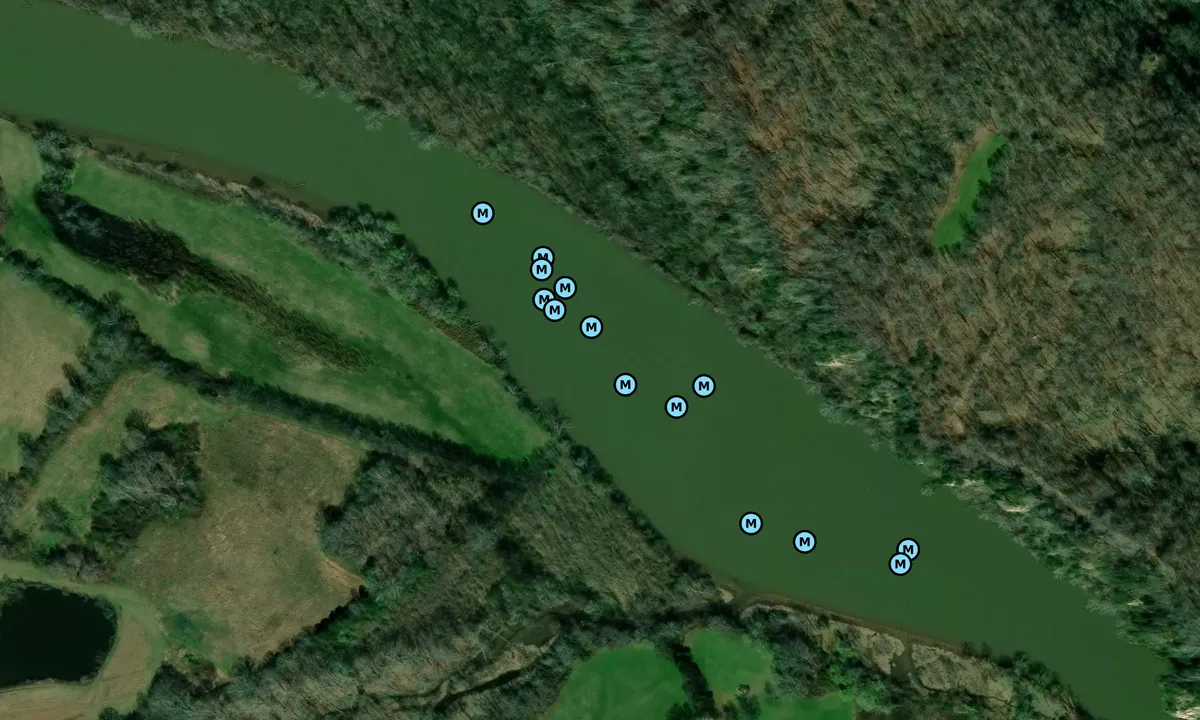 Satelite image of Harpeth River