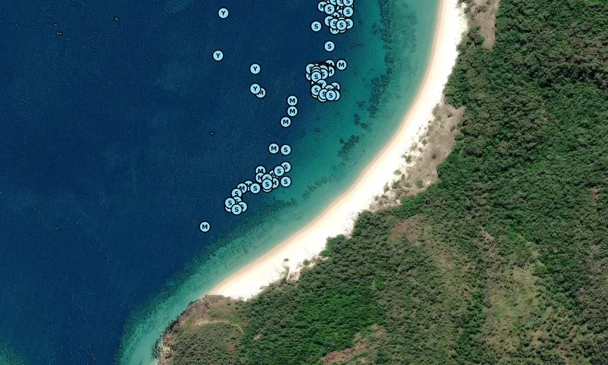 Satelite image of Haslewood