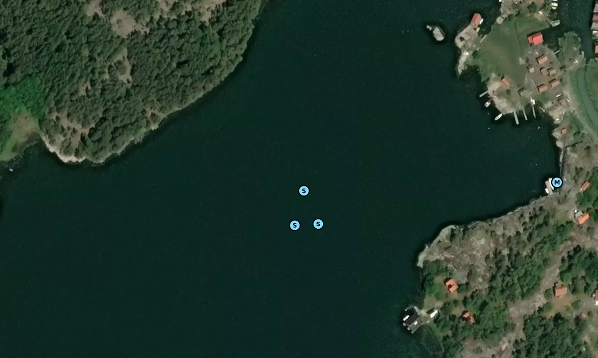 Satelite image of Hässelön