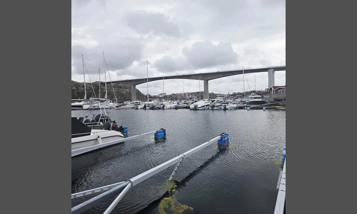 Hasselösund Gästhamn