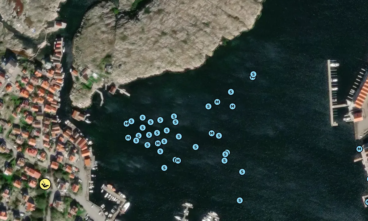 Satelite image of Hasselösund svaiplass