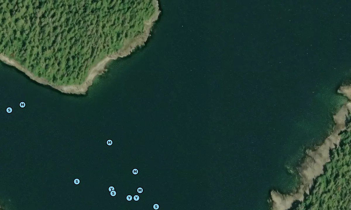 Satelite image of Hassler Harbor