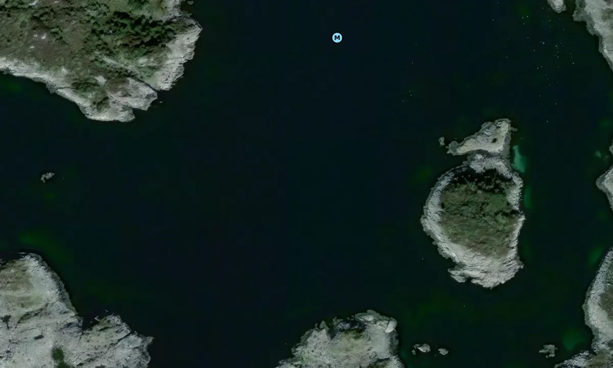 Satelite image of Hedleholmen