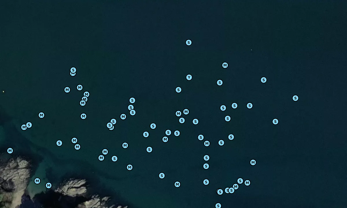 Satelite image of Helford River Anchorage