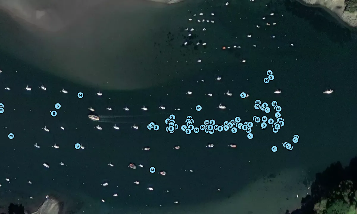 Satelite image of Helford River (visitor moorings)
