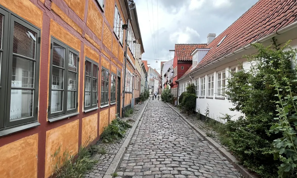 Helsingør Havn: Havnen ligger nær gamlebyen med sine trange og fargerike gater. Flere svært staselige bygg / kirker finnes også der.