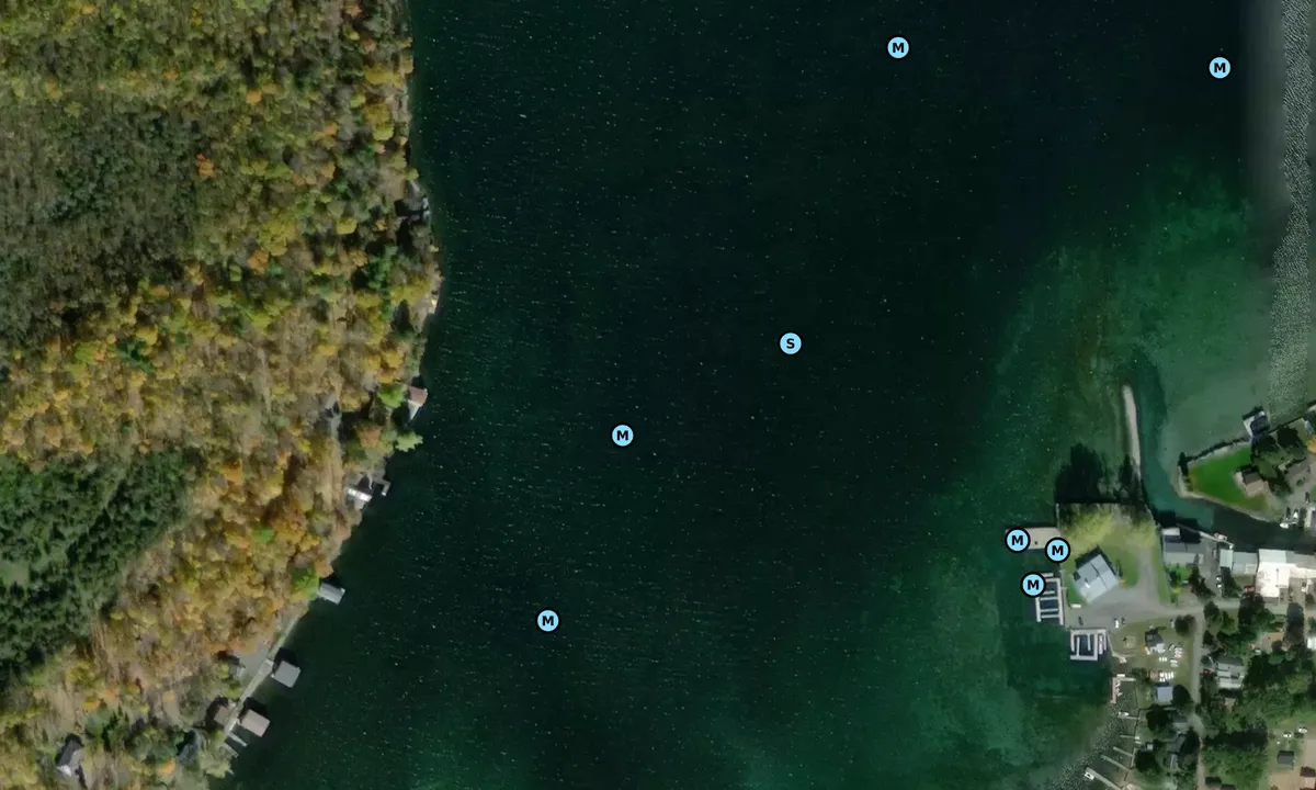 Satelite image of Henderson Harbor