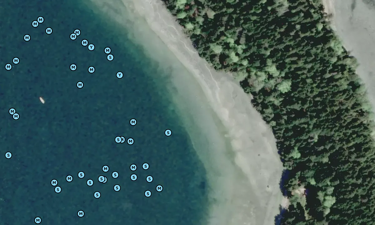 Satelite image of Henry Bay