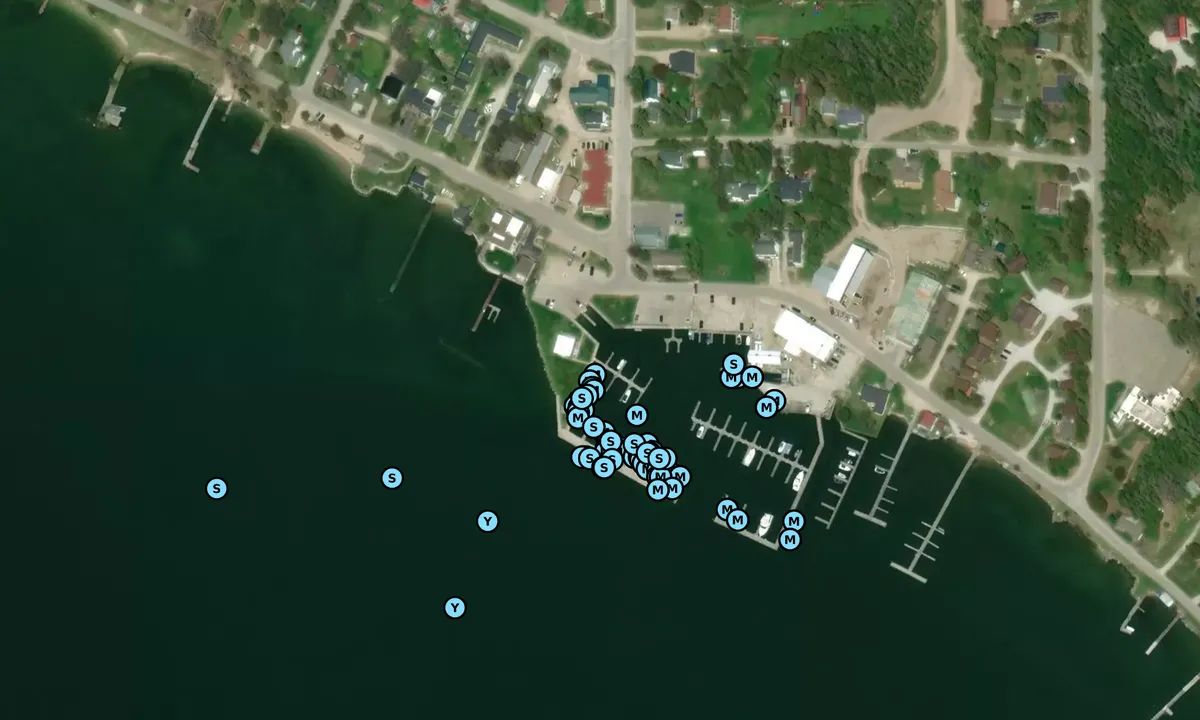 Satelite image of Hessel/Clark Twp. Marina