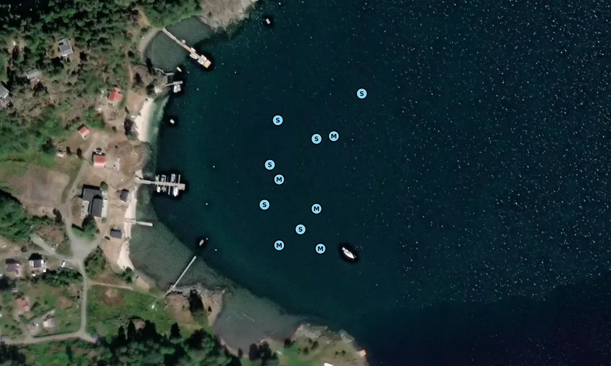 Satelite image of Hesteløkka