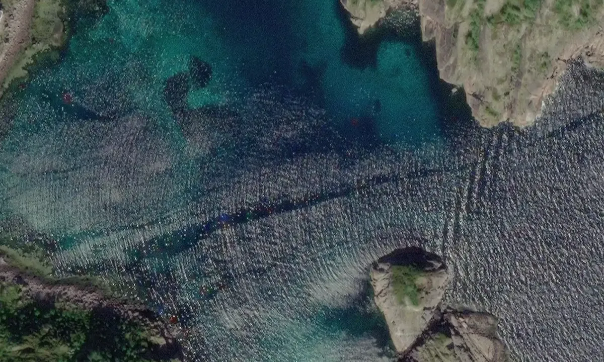 Satelite image of Hestvik