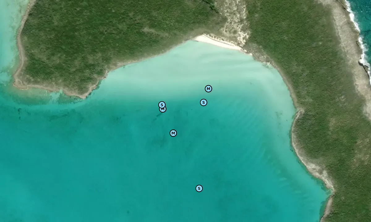 Satelite image of Hetty's Land