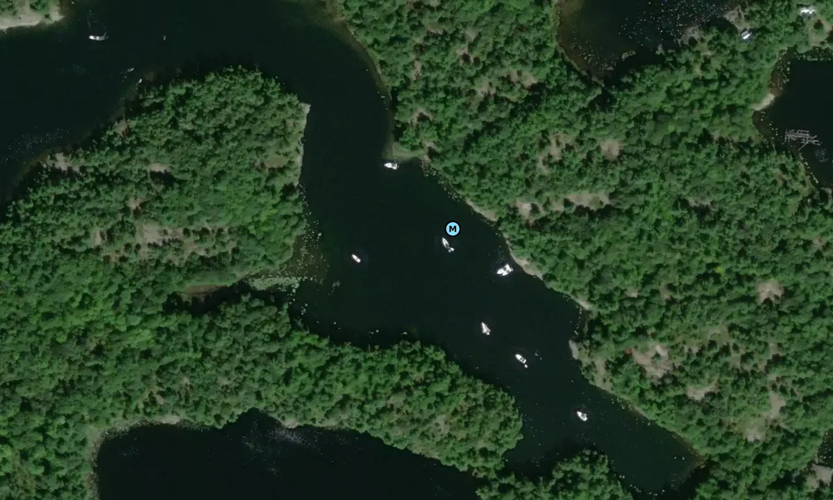 Satelite image of Hockey Stick Cove