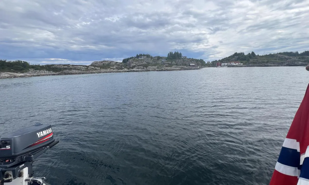 Høgøyna