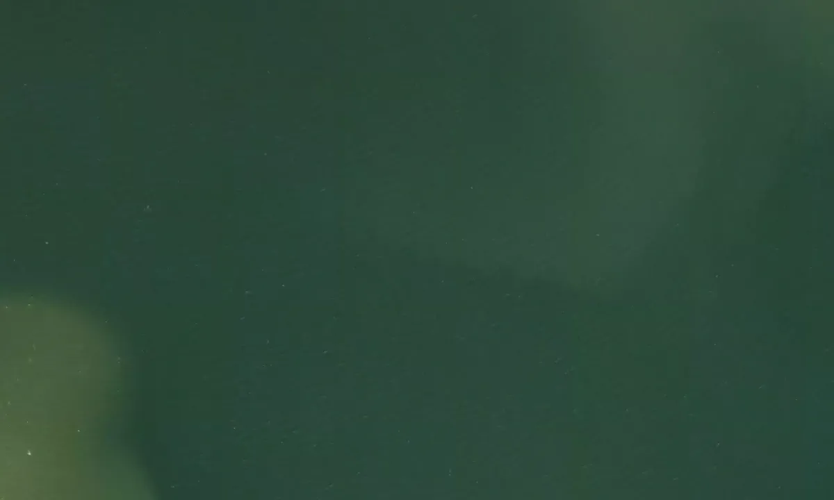 Satelite image of Hogtown Bayou - 2