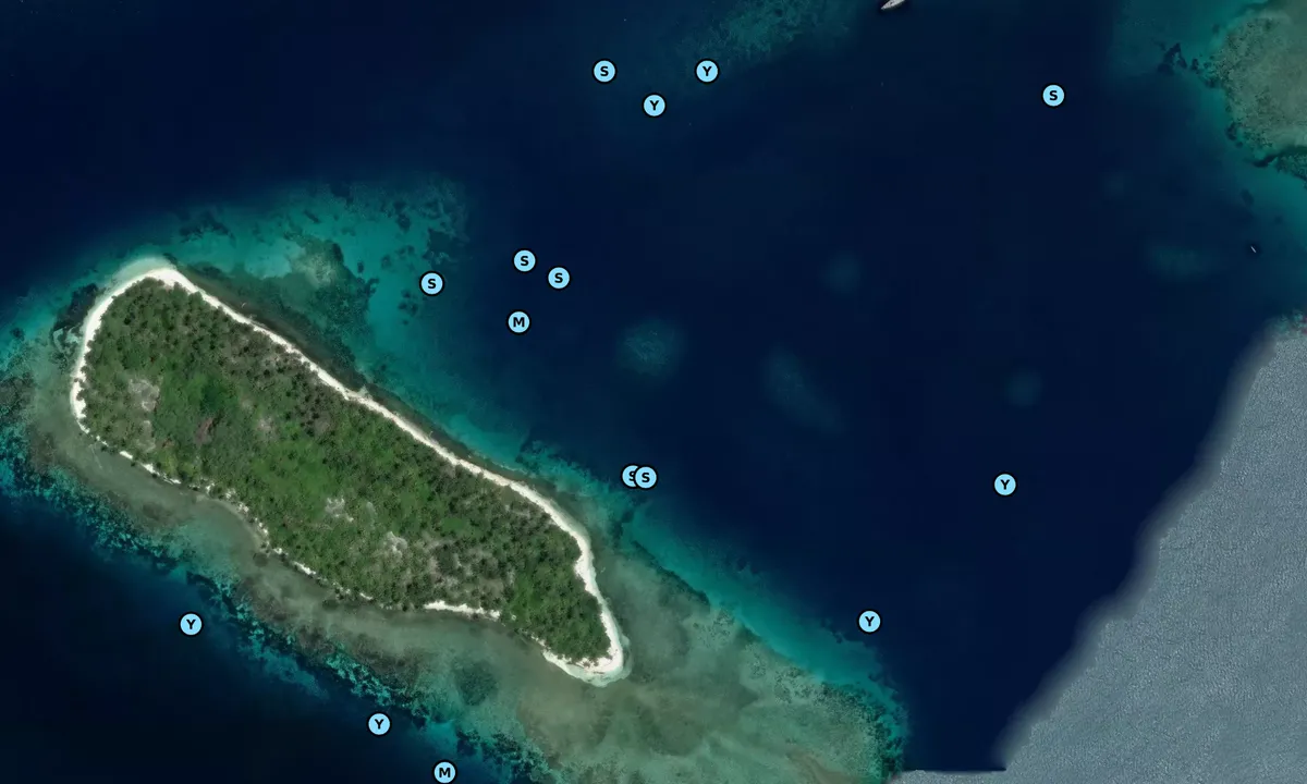 Satelite image of Holandes Cays East