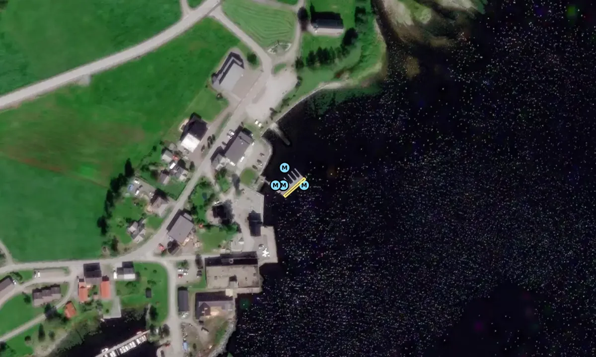 Satelite image of Holmedal