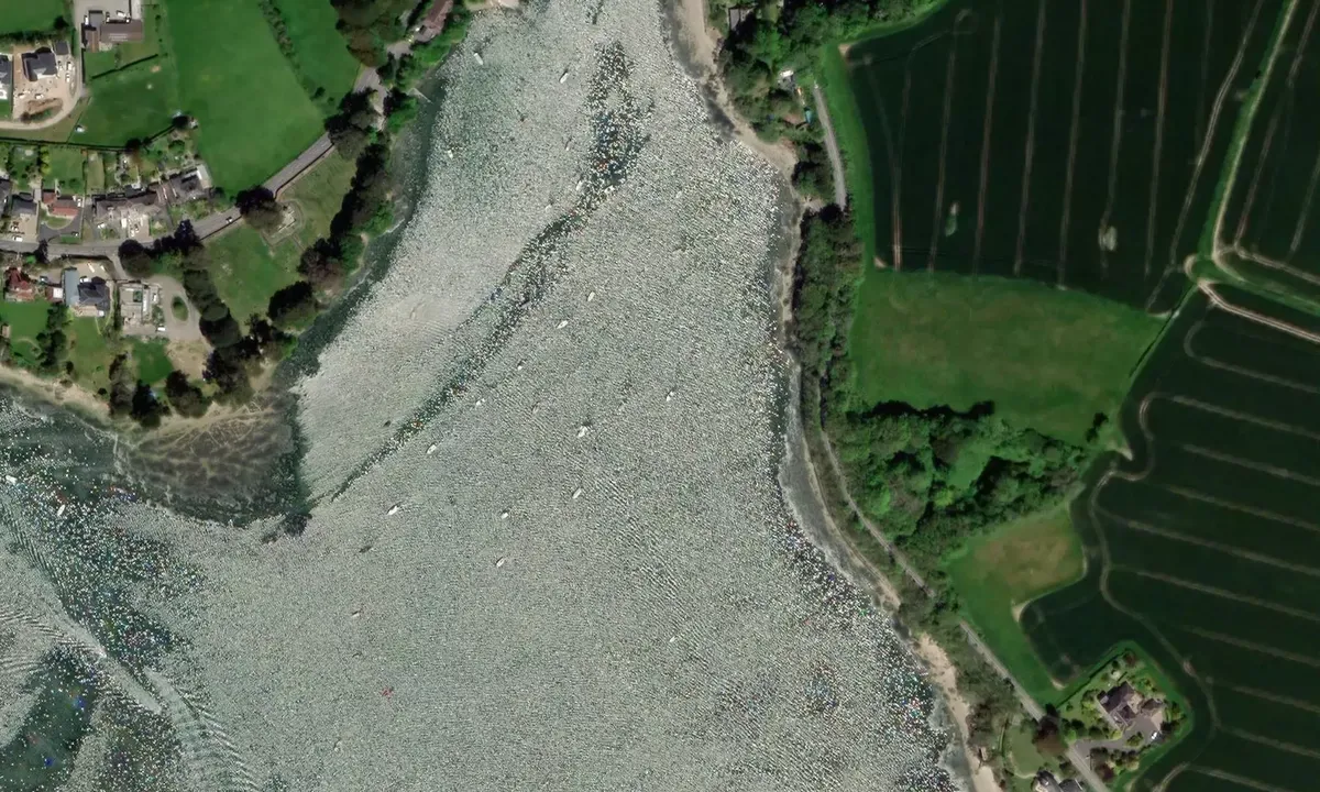 Satelite image of home