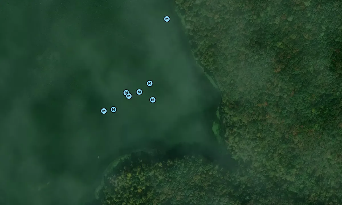 Satelite image of Honeycomb North Slough
