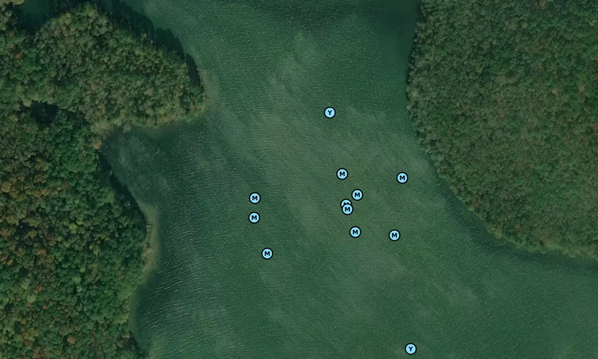 Satelite image of Honeycomb South Slough