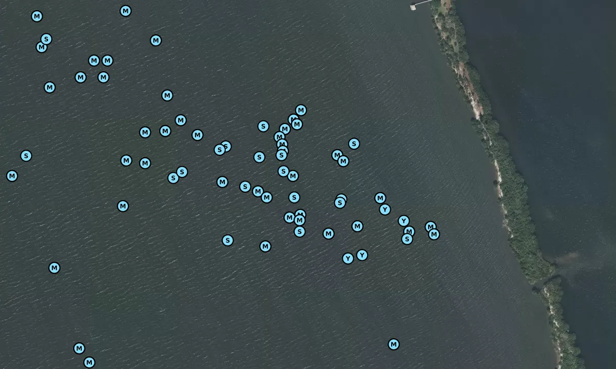 Satelite image of Honeymoon Lake