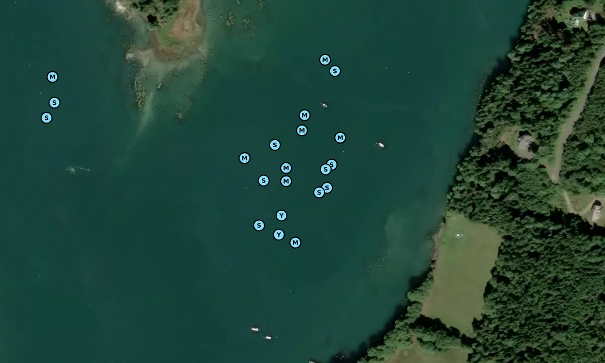 Satelite image of Hornbarn Cove 1