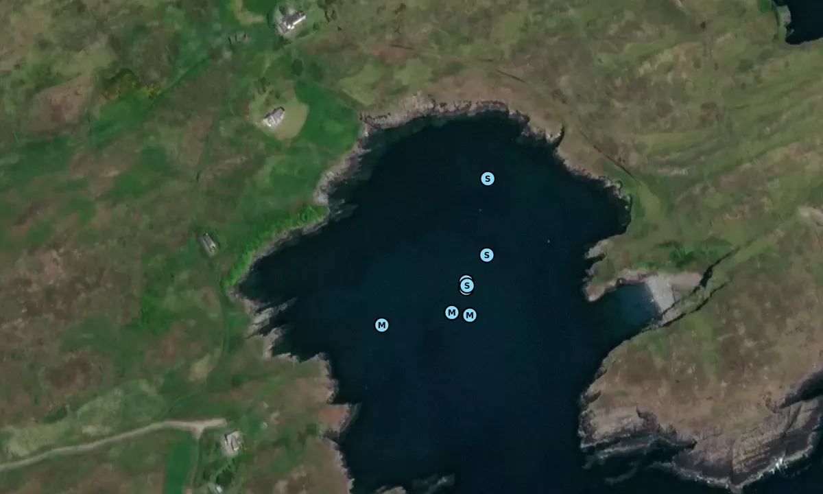 Satelite image of Horseshoe Harbor