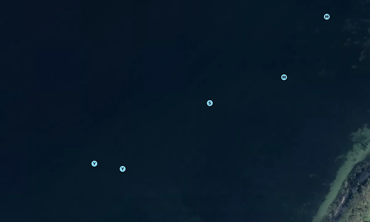 Satelite image of Horseshoved