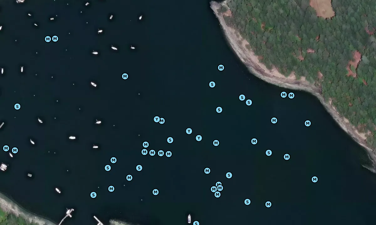 Satelite image of Horton Bay