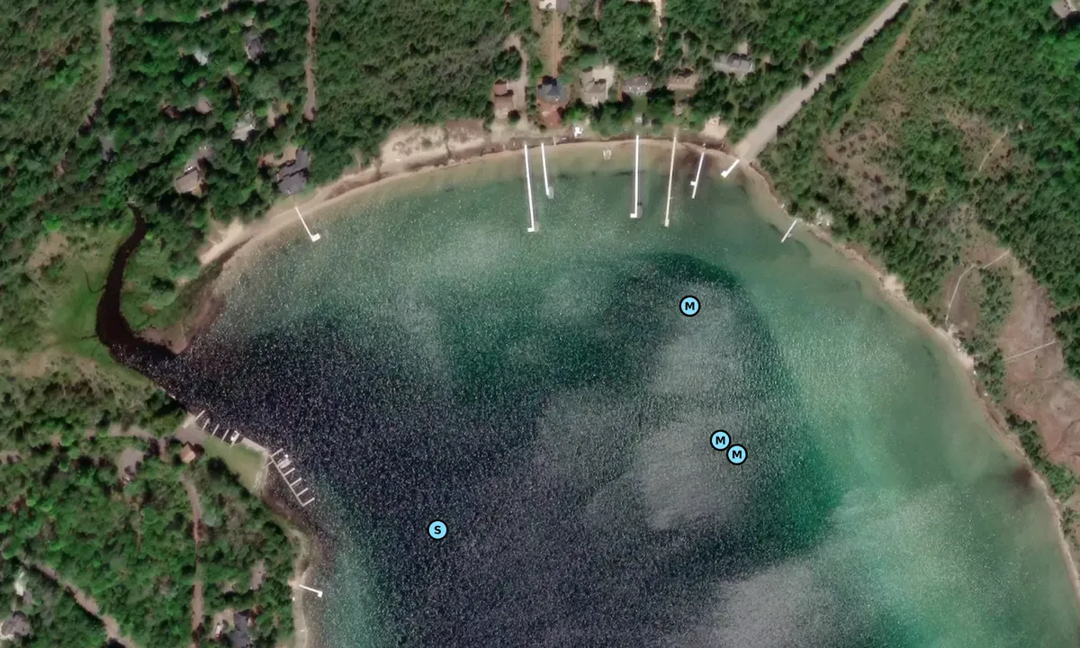 Satelite image of Horton Bay - Boyne City