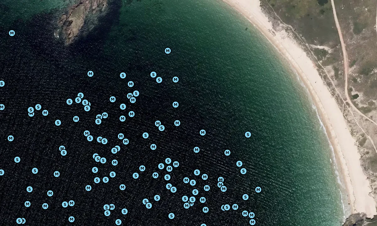 Satelite image of Houat