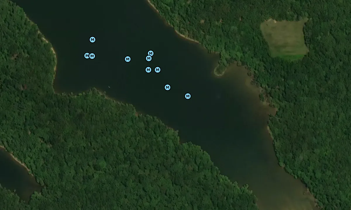 Satelite image of Houseboat Cove