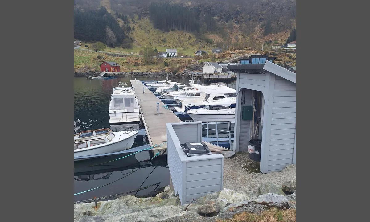 Høyvika