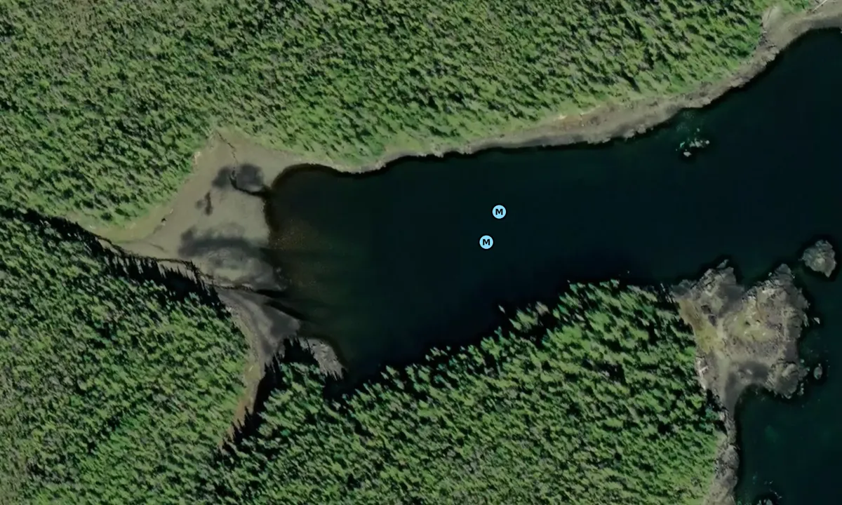 Satelite image of Hudson Bay Passage Cove