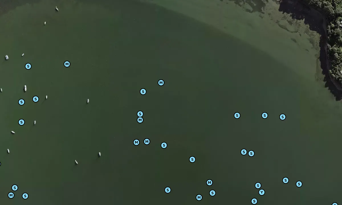 Satelite image of Huruhi Bay