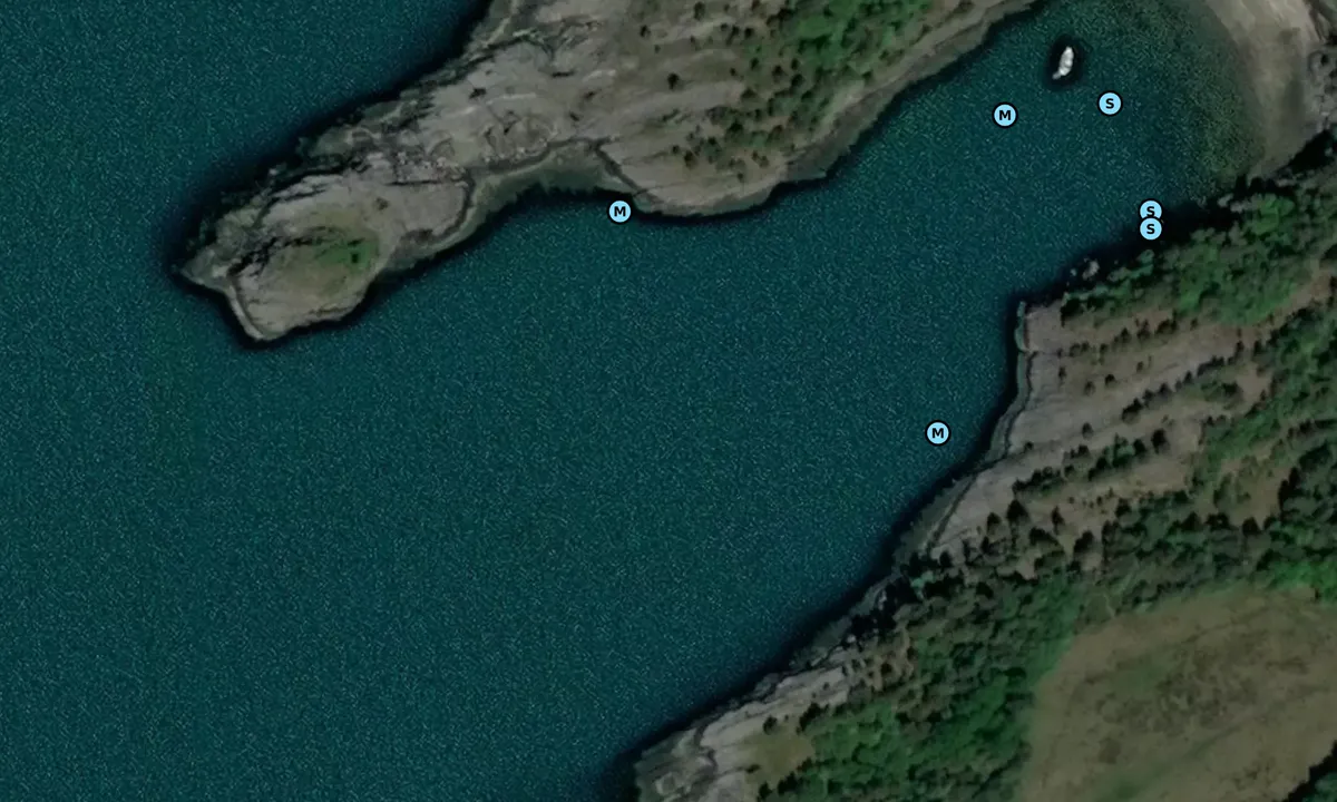 Satelite image of Hvalenbukta