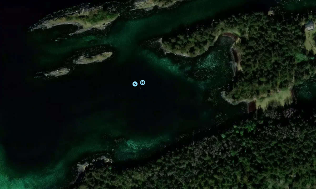 Satelite image of Hvitvinsbukta