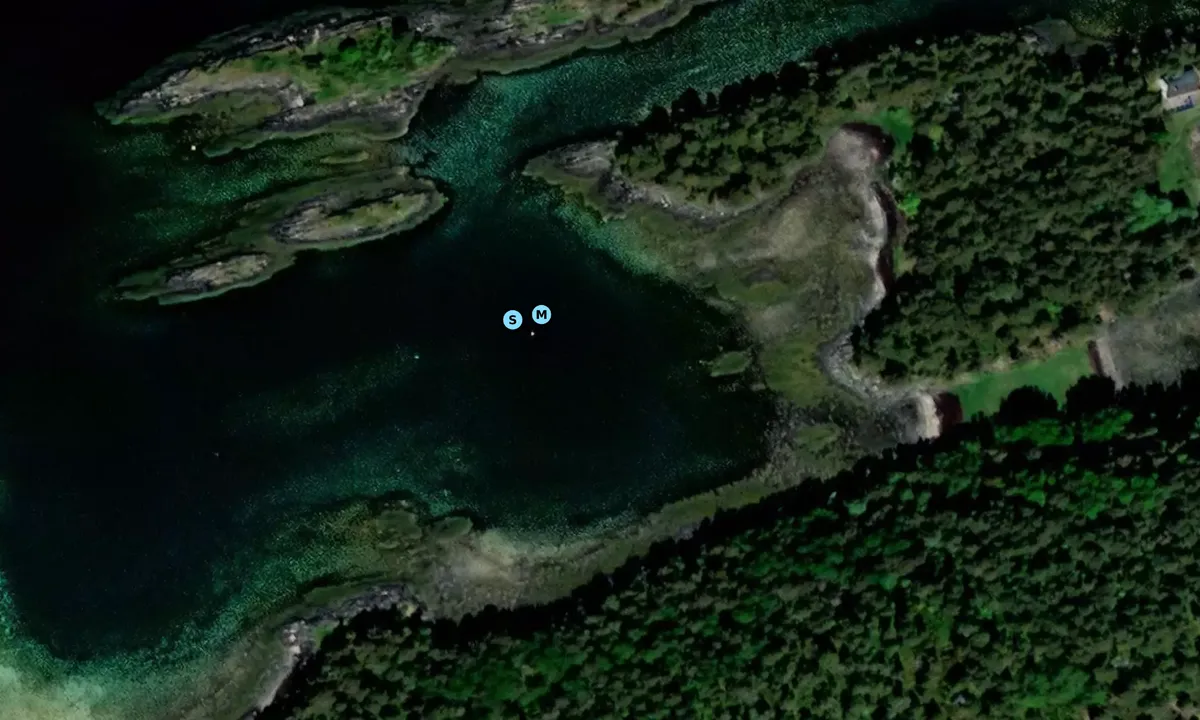 Satelite image of Hvitvinsbukta