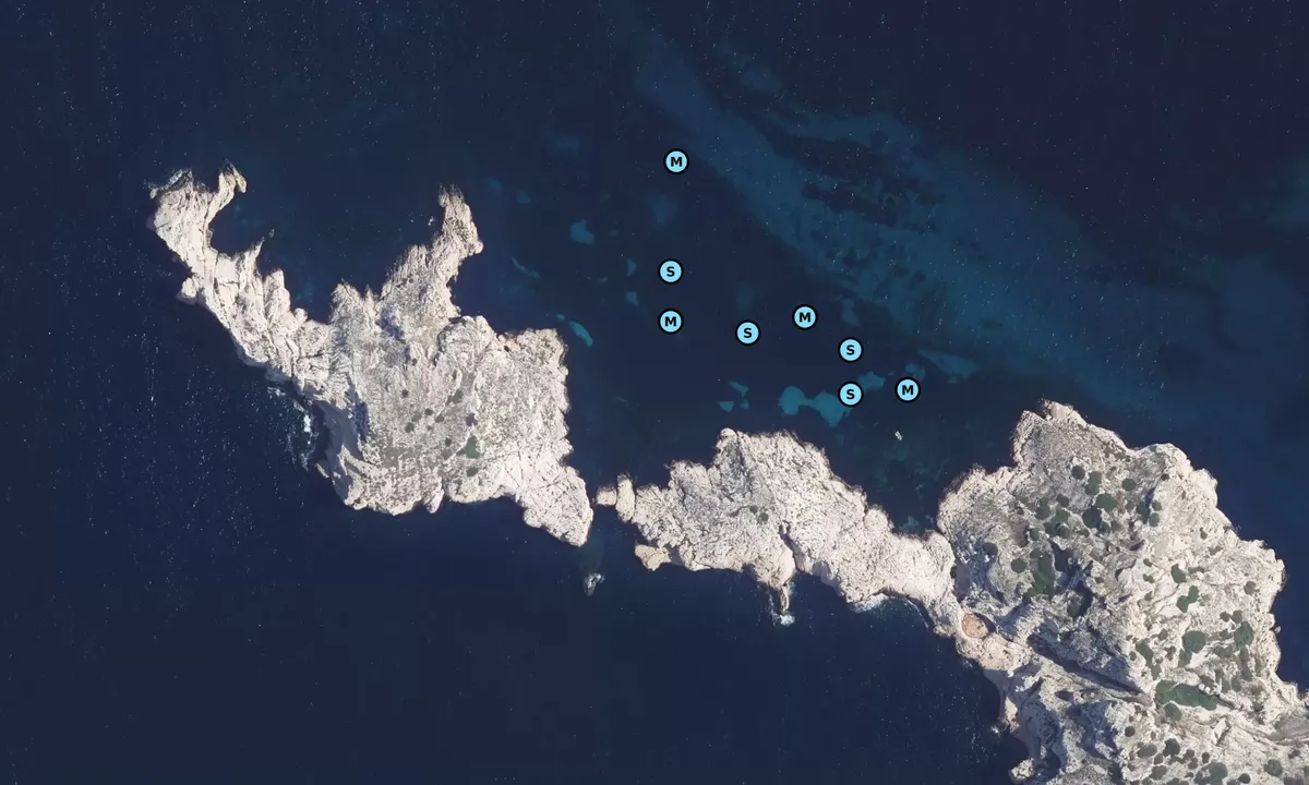 Satelite image of Ile de Jarron