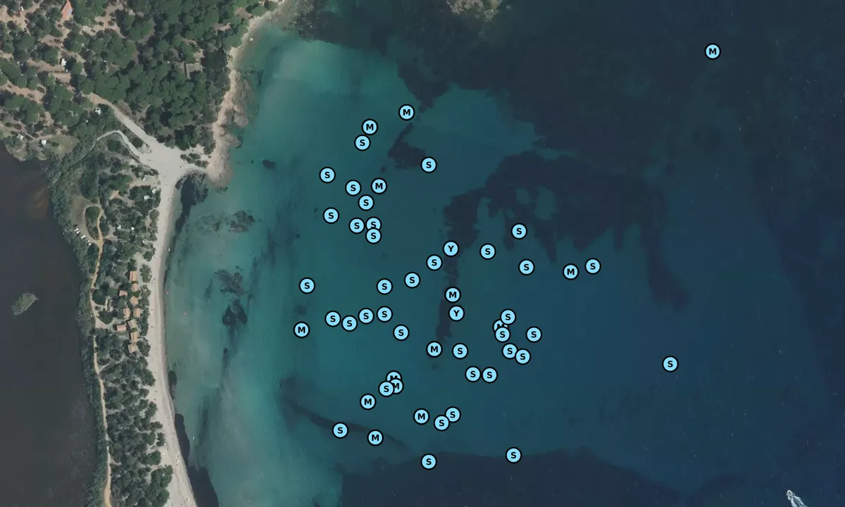Satelite image of Île de Pinarellu